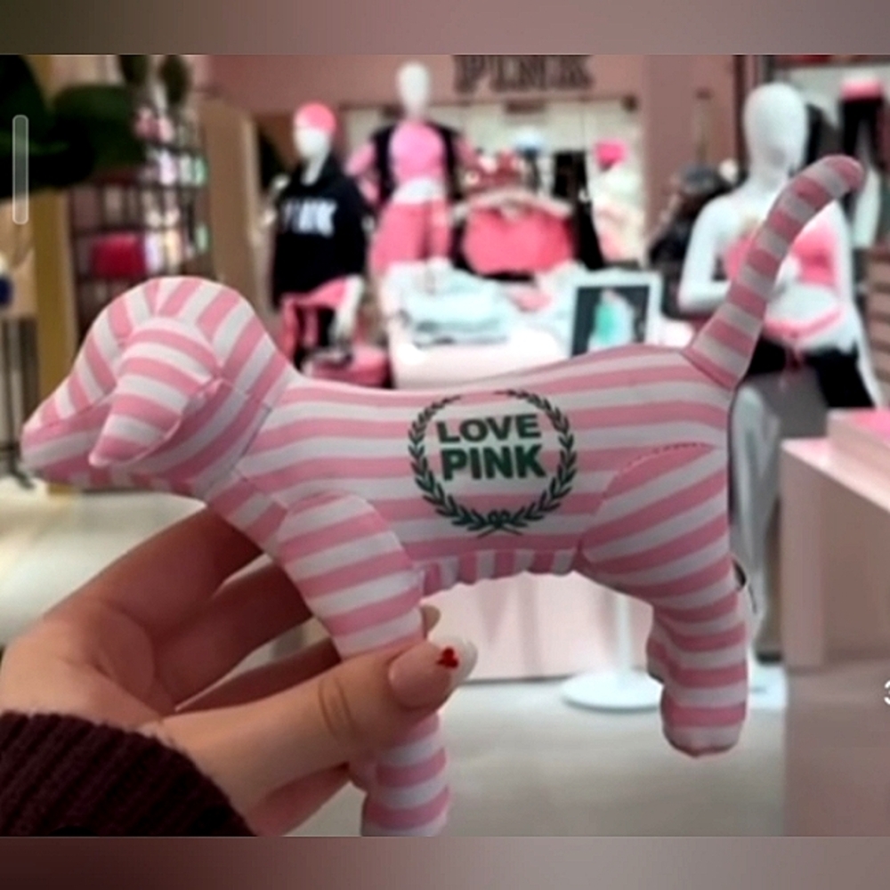 RARE Victoria's Secret Pink Y2K Striped Love Pink Collectible Dog